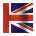 English language translation services
